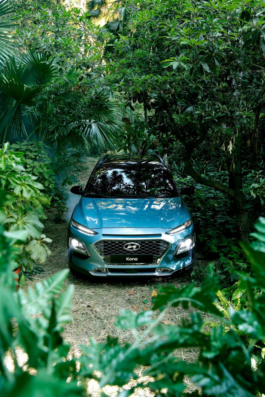  Hyundai Kona AWD 2017 года  (WW) (фото 22 из 56)